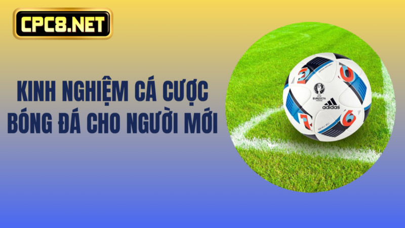 Kinh nghiệm cá cược bóng đá cho người mới
